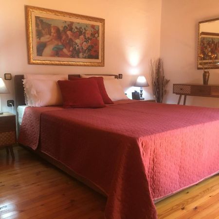 Sarakinas Farm House Kalampáka Ngoại thất bức ảnh