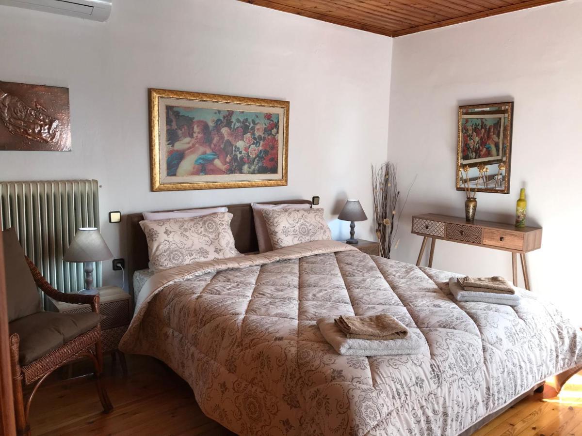 Sarakinas Farm House Kalampáka Ngoại thất bức ảnh