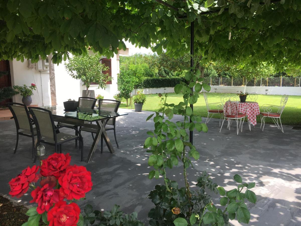 Sarakinas Farm House Kalampáka Ngoại thất bức ảnh