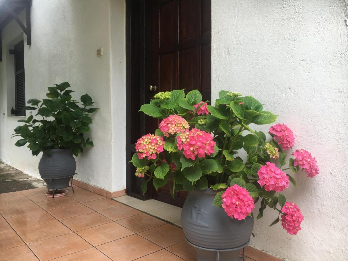 Sarakinas Farm House Kalampáka Ngoại thất bức ảnh