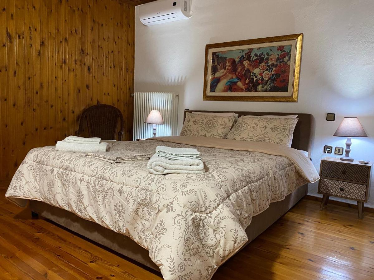 Sarakinas Farm House Kalampáka Ngoại thất bức ảnh