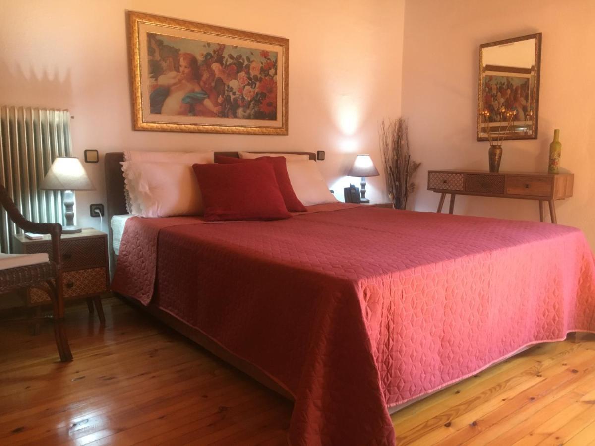 Sarakinas Farm House Kalampáka Ngoại thất bức ảnh